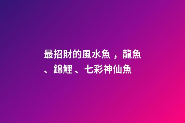 最招財的風水魚，龍魚、錦鯉、七彩神仙魚